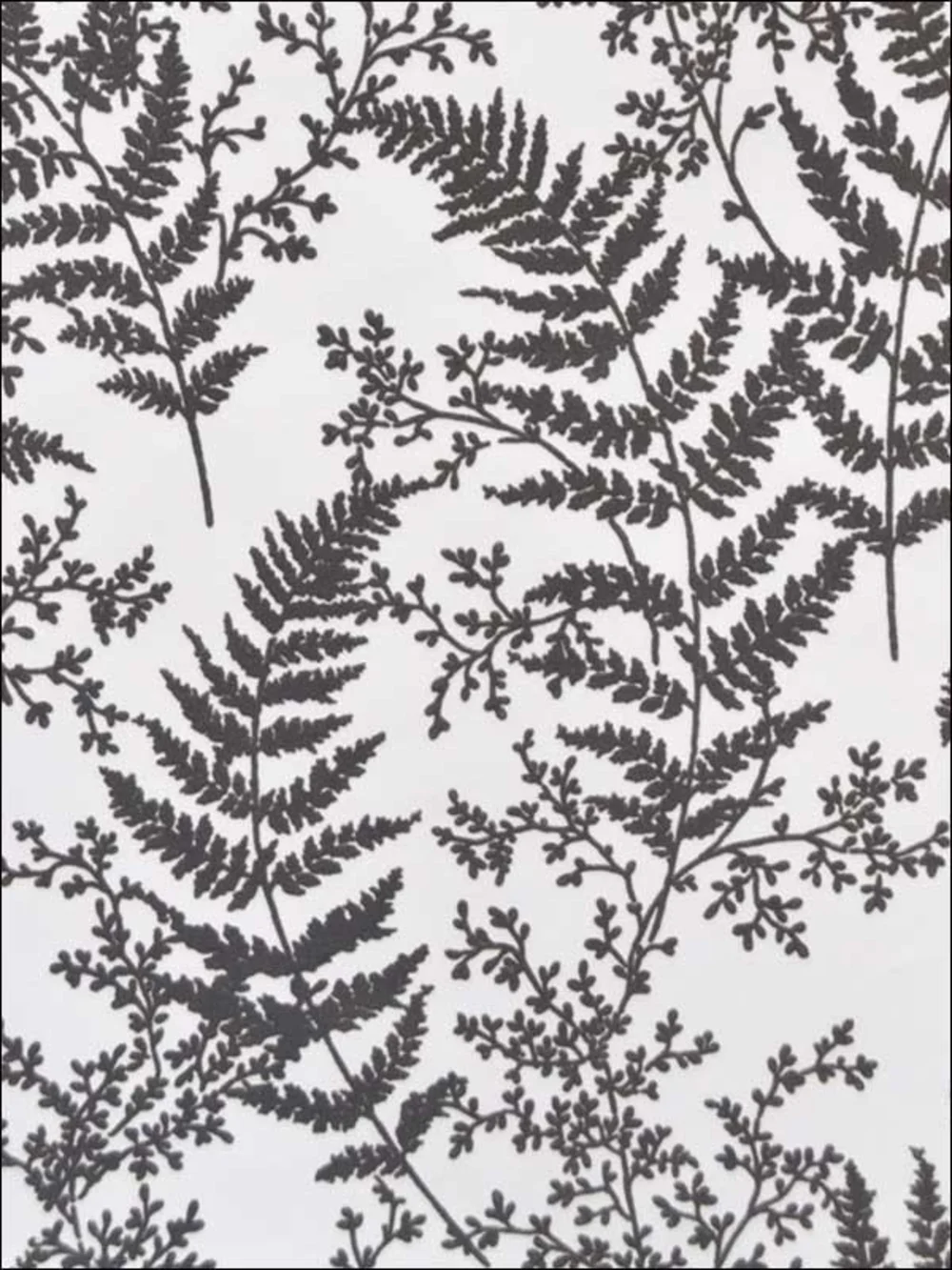 Magnolia Home Forest Fern Wallpaper